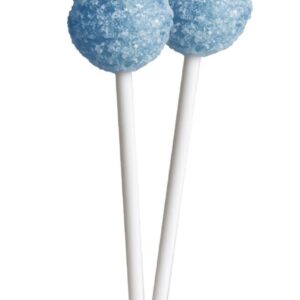 Mini sucette ramzy fruits des bois  gum (lot de 10)